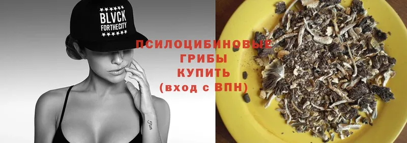 Галлюциногенные грибы Psilocybe  Пермь 